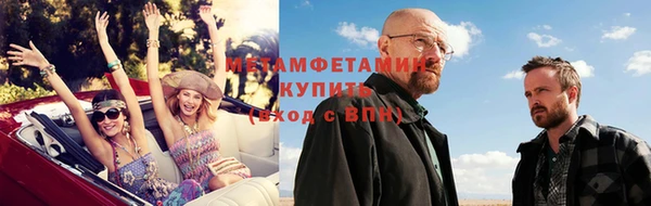прущие грибы Володарск
