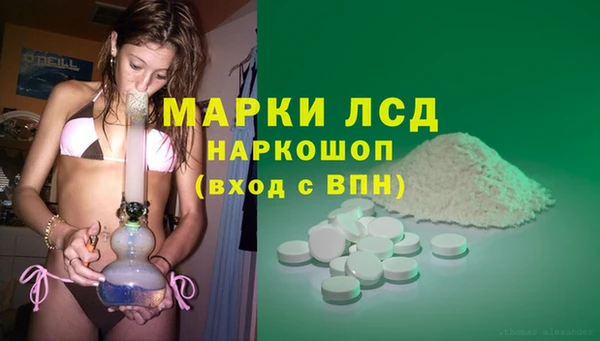 индика Вязьма