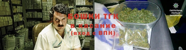прущая мука Вяземский