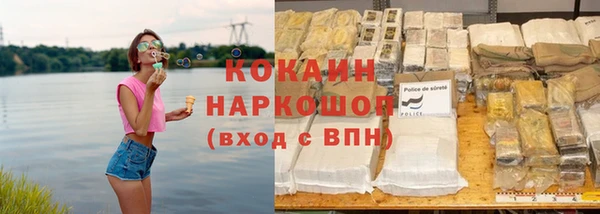 прущие грибы Володарск