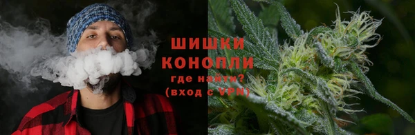 прущие грибы Володарск