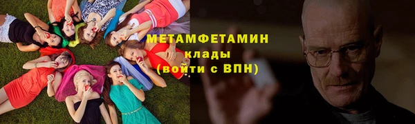 прущие грибы Вязники