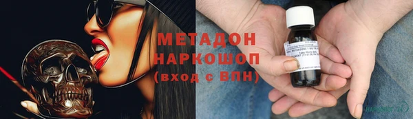 прущие грибы Вязники