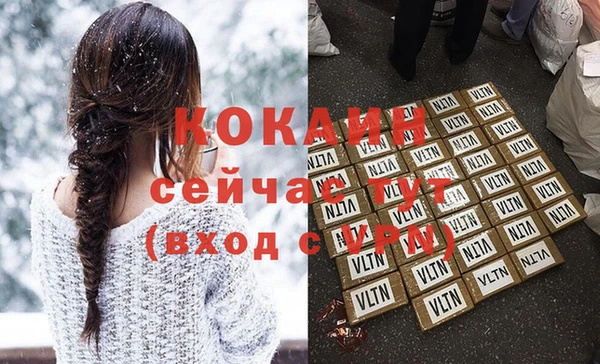 прущие грибы Вязники
