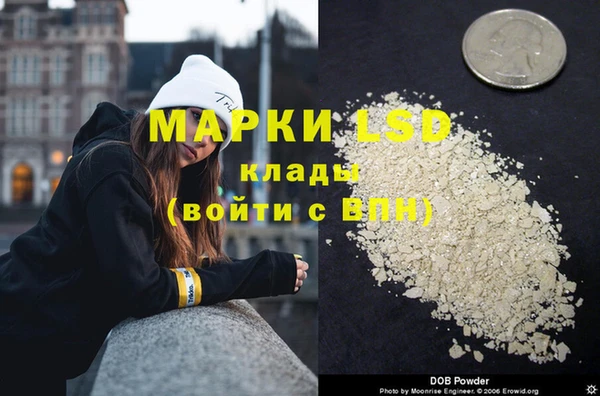 индика Вязьма