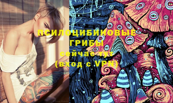 прущие грибы Вязники