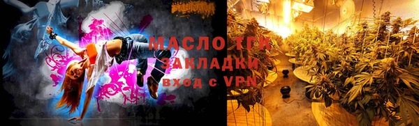 индика Вязьма