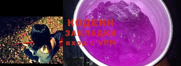 прущие грибы Вязники