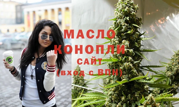 индика Вязьма