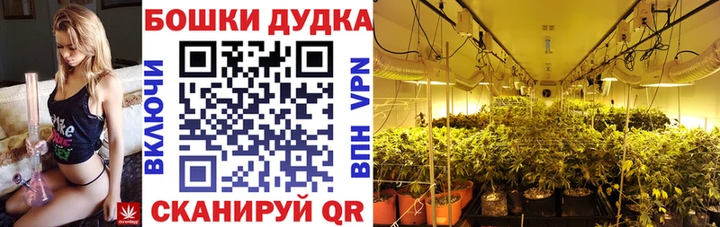 цена наркотик  Брюховецкая  Канабис VHQ 